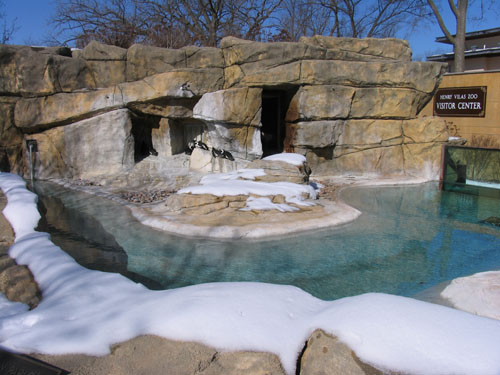 Penguins at Henry Vilas Zoo